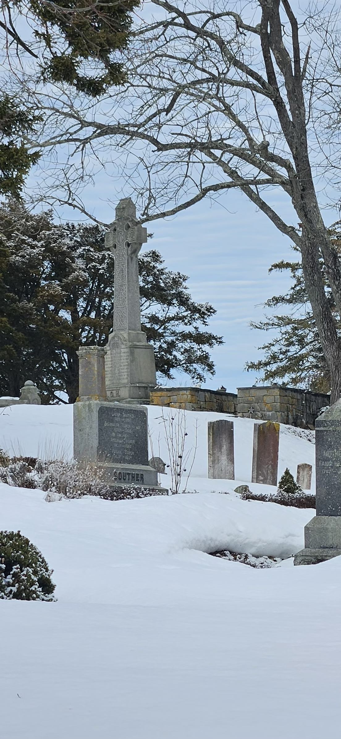 Happy St Pats Day!!!